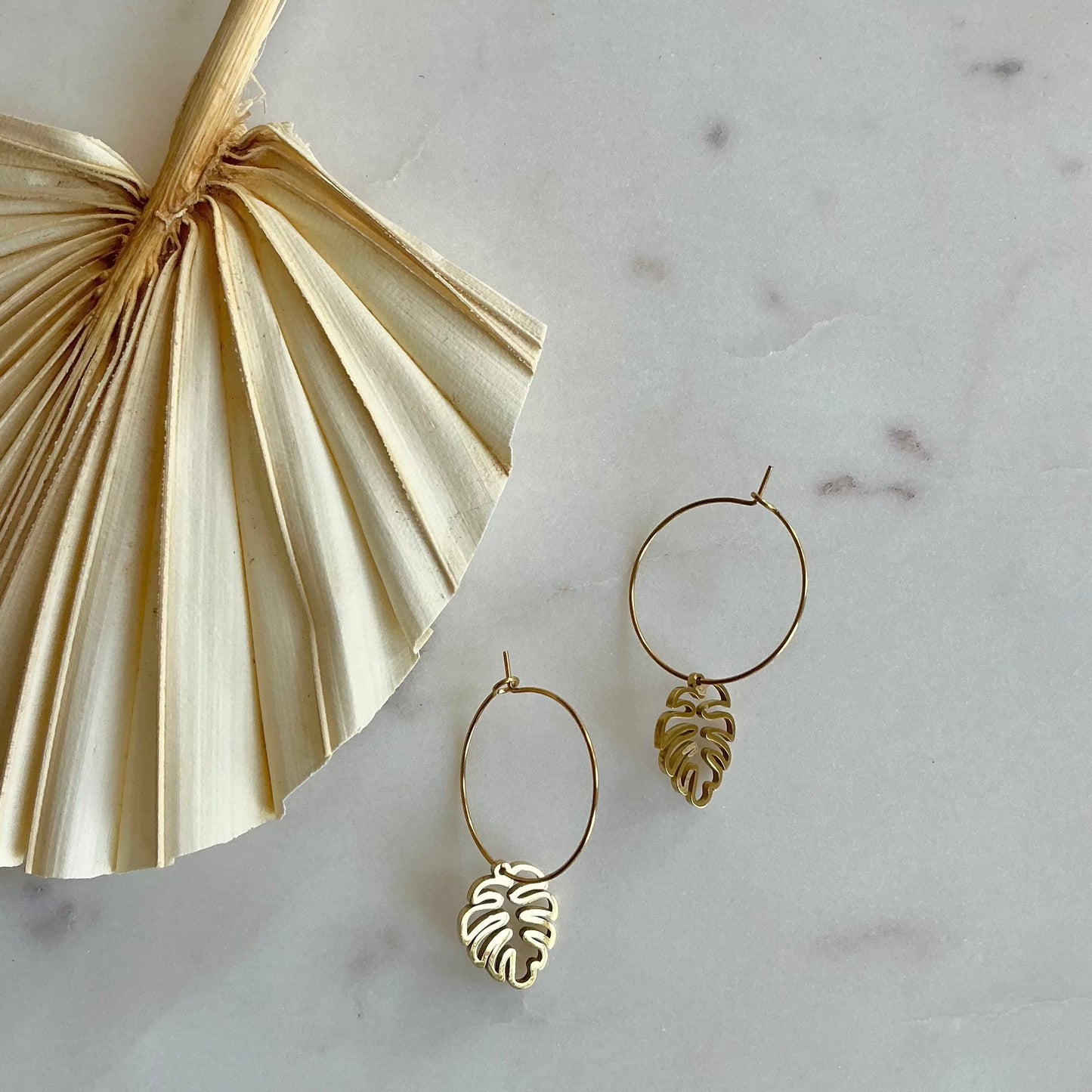 monstera hoops